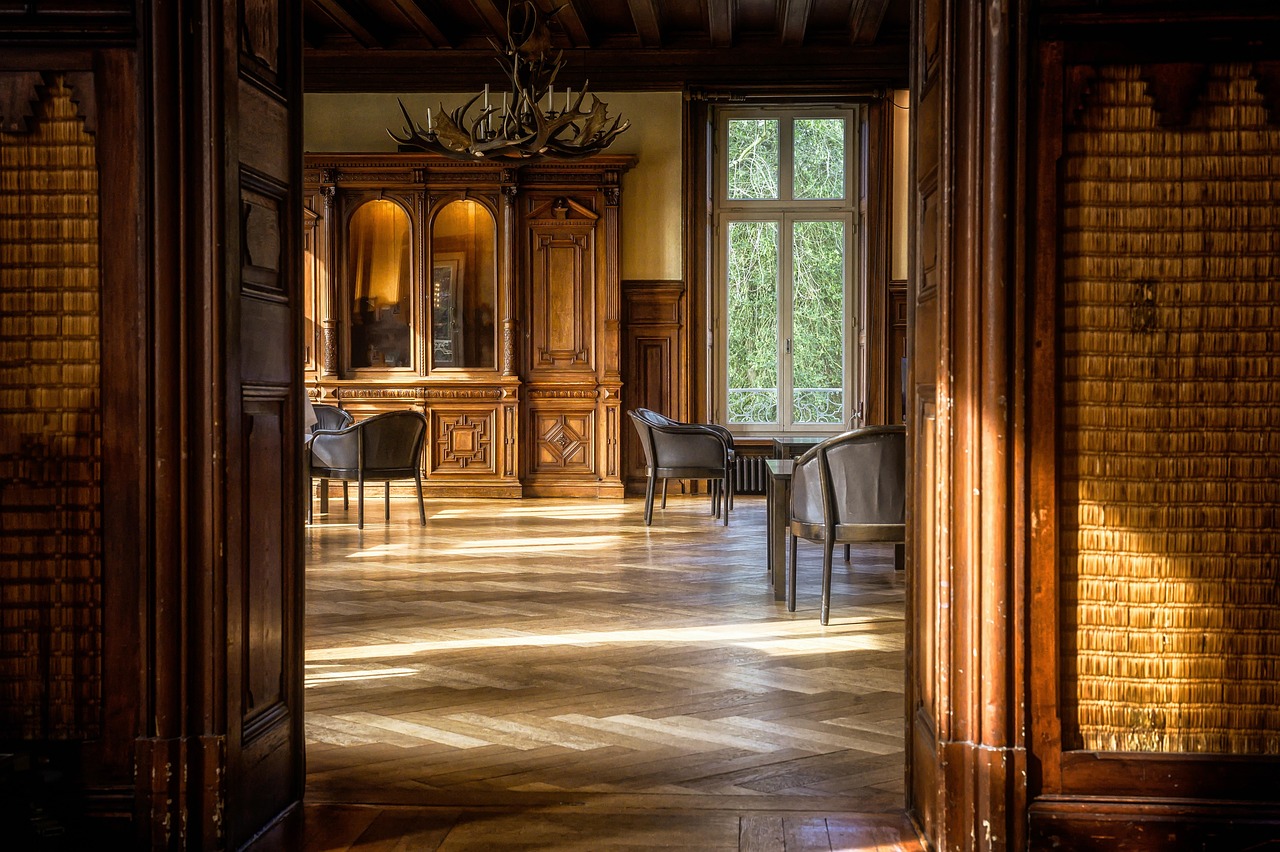 room, space, parquet, salon, smoking rooms, nature, wood, chair, wooden floor, light space, sun, light, living room, design