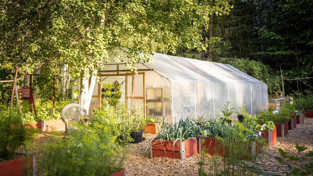 tunnel greenhouse, cultivation, kitchen, garden, vegetables, vegetable land, gardening, nature, self catering